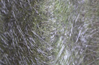 Ball O Ditton fibreglass roof work